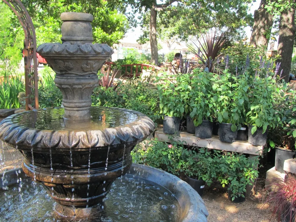 Local landscape design for outdoor upgrades across Cedar Park, TX - Hill Country Water Gardens & Nursery