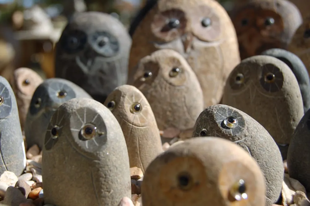 Trusted landscape design experts serving Cedar Park, TX - Hill Country Water Gardens & Nursery