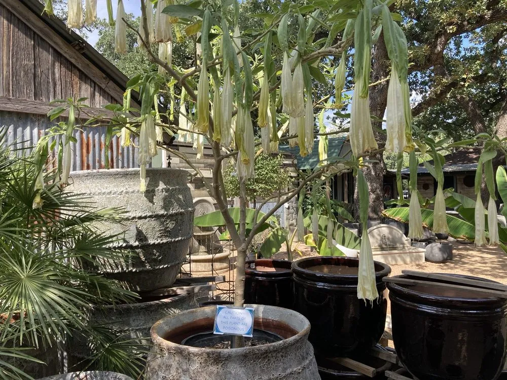 Affordable outdoor landscaping near you across Cedar Park, TX - Hill Country Water Gardens & Nursery