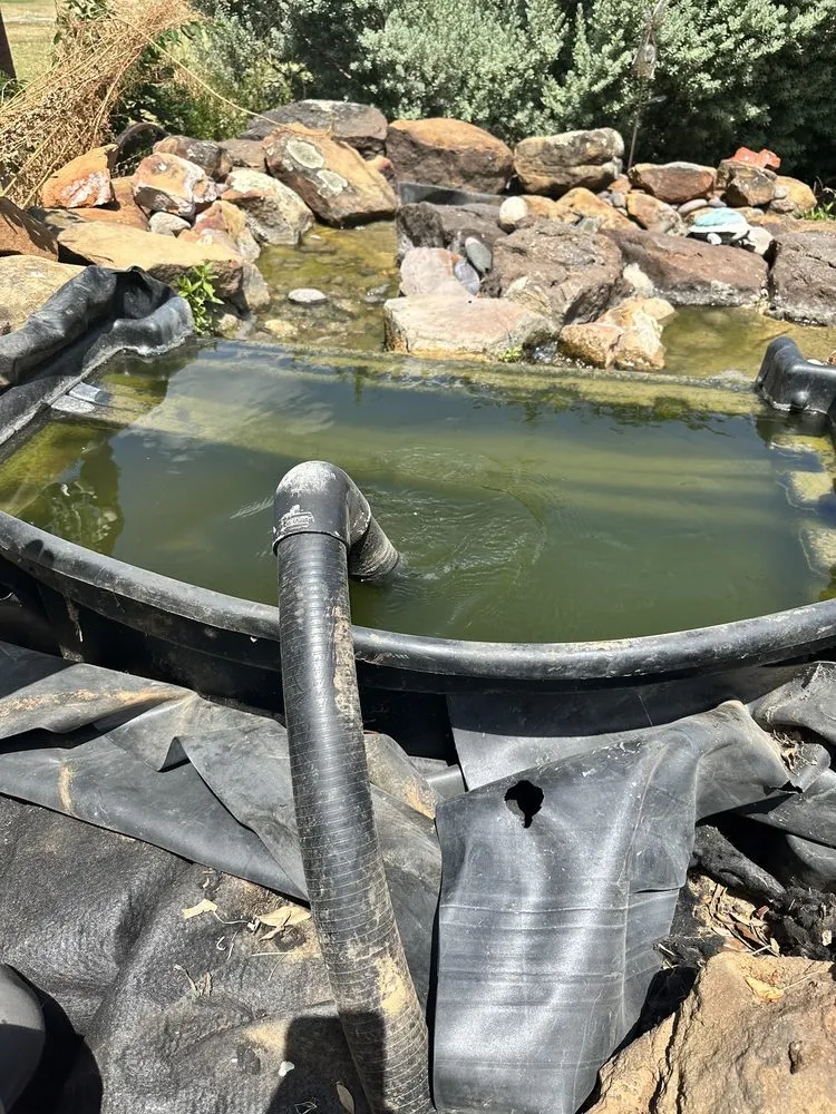 Reliable landscape design in Cedar Park, TX - Hill Country Water Gardens & Nursery