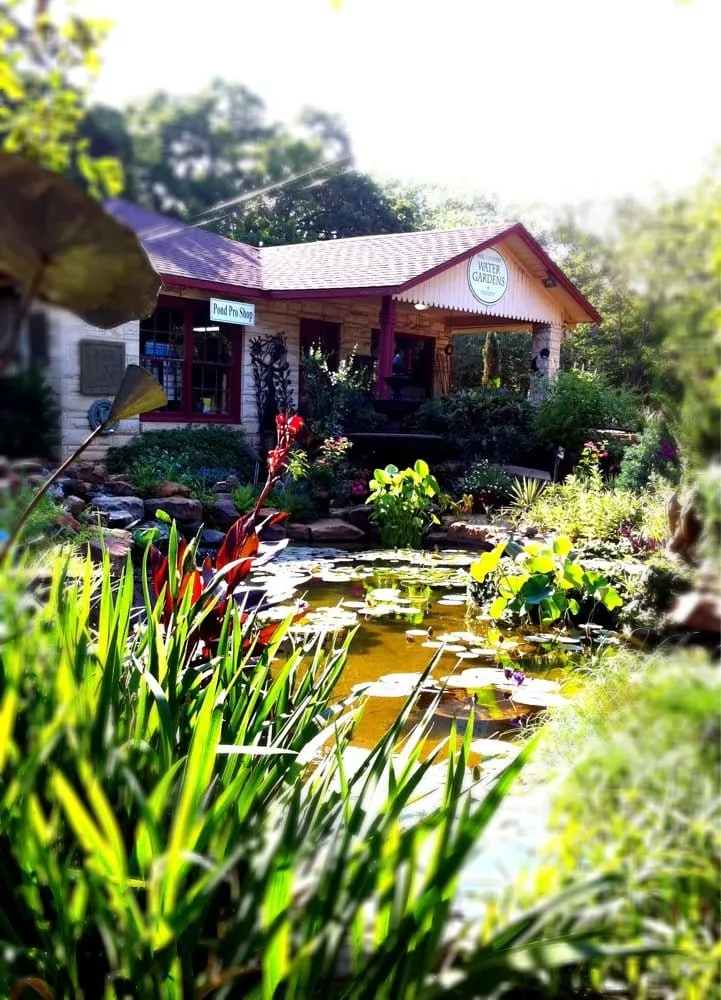 Custom residential landscaping in Cedar Park, TX - Hill Country Water Gardens & Nursery