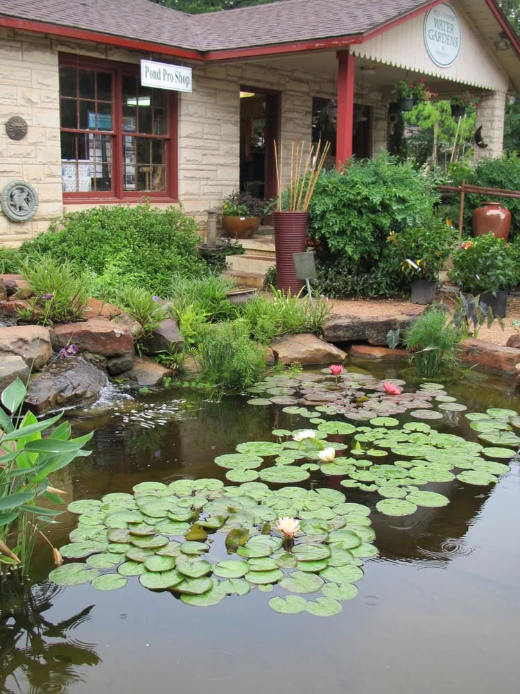 Reliable landscape design experts serving Cedar Park, TX - Hill Country Water Gardens & Nursery