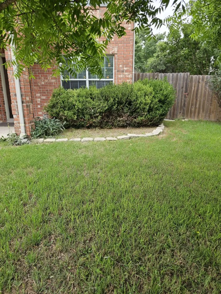 Reliable lawn mowing service experts serving New Braunfels, TX - Hill Cut Mowing