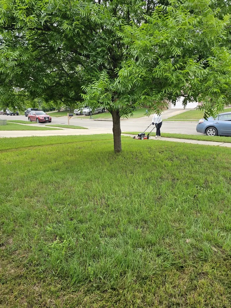 Local yard cleanup service experts serving New Braunfels, TX - Hill Cut Mowing