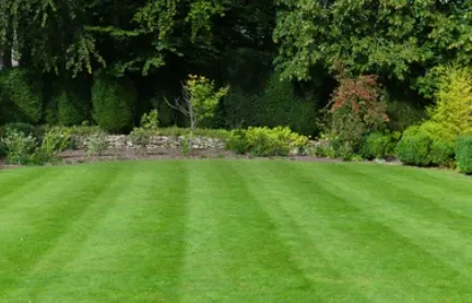 Expert outdoor landscaping for homes across Sterling Heights, MI - Hill Fertilizing Services