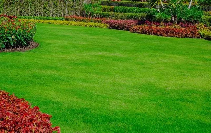 Reliable yard maintenance in Sterling Heights, MI - Hill Fertilizing Services