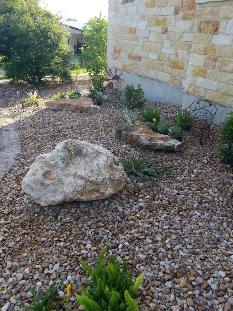 Local yard cleanup service experts serving San Antonio, TX - Hill Horticulture