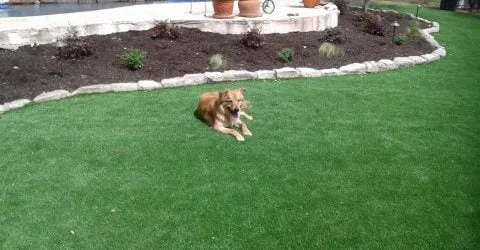 Reliable yard cleanup service experts serving San Antonio, TX - Hill Horticulture