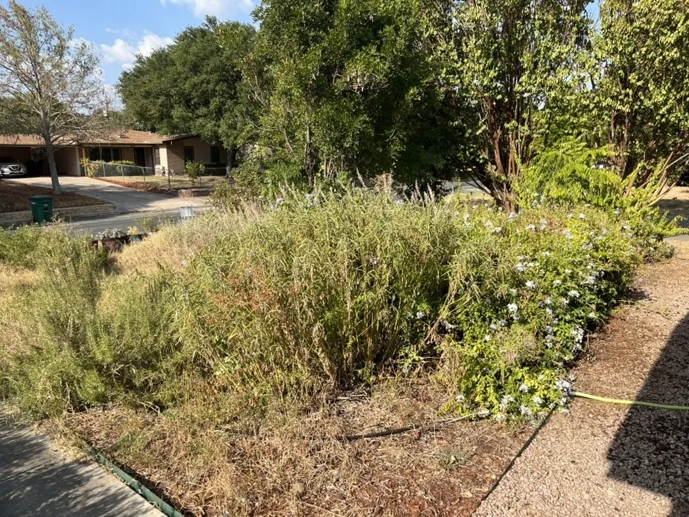 Reliable lawn mowing service with custom design in San Antonio, TX by Hill Horticulture