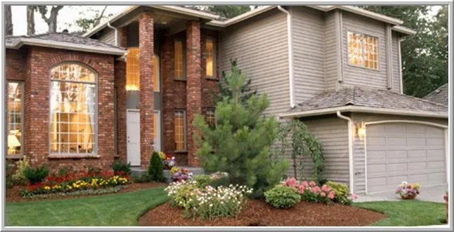 Custom yard cleanup service for homes in Lake Alfred, FL by Hill Land Management Services