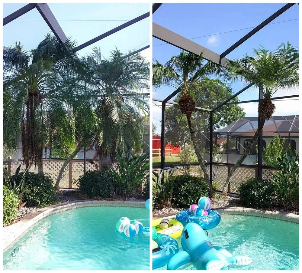 Custom lawn mowing service with custom design in Port Charlotte, FL by Hill Lawn & Landscape