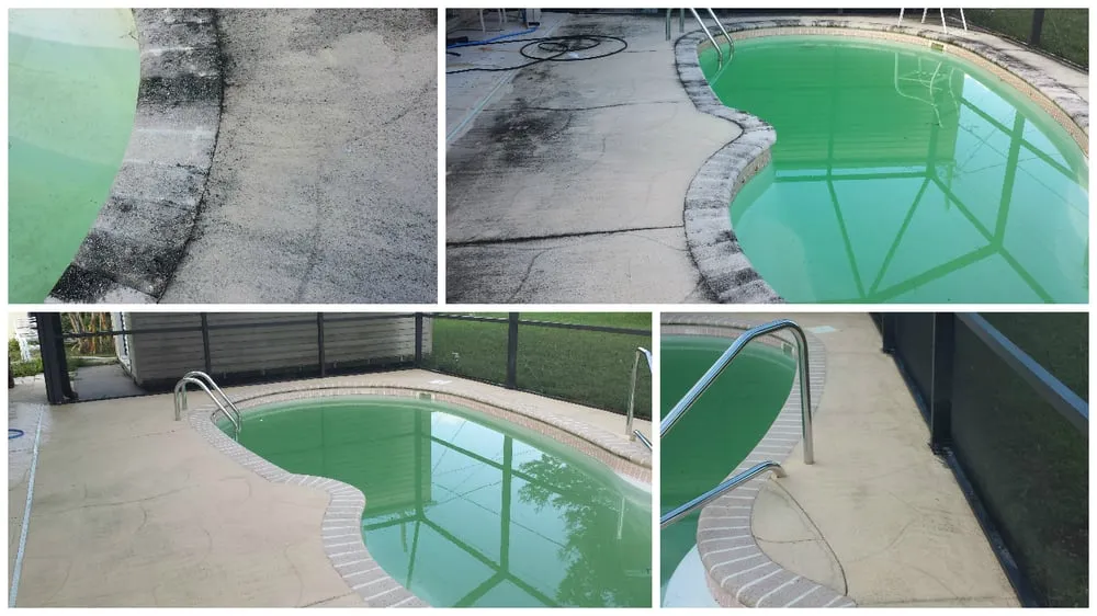 Trusted garden landscaping near you in Port Charlotte, FL by Hill Lawn & Landscape