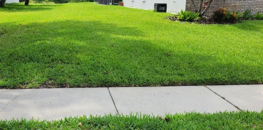 Affordable yard maintenance in New Port Richey, FL - Hill Lawn Care