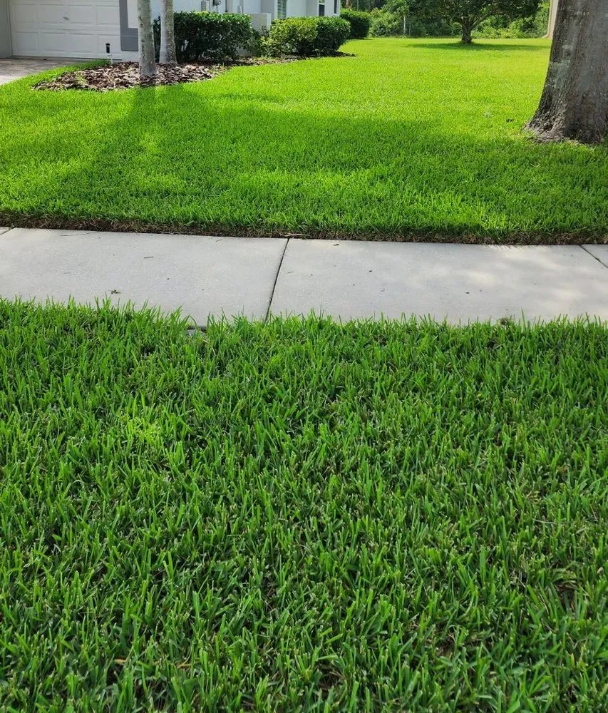 Custom residential landscaping for beautiful yards in New Port Richey, FL by Hill Lawn Care