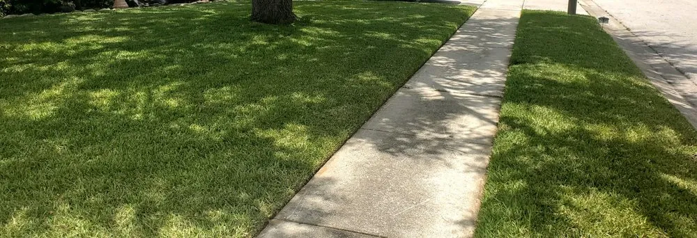 Professional landscape design for residential properties across New Port Richey, FL - Hill Lawn Care