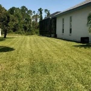 Custom landscape design for year-round maintenance in New Port Richey, FL by Hill Lawn Care
