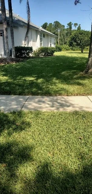 Local lawn care service experts serving New Port Richey, FL - Hill Lawn Care
