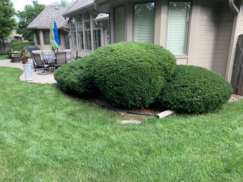 Custom landscaping services for year-round maintenance across Omaha, NE - Hill Property Management