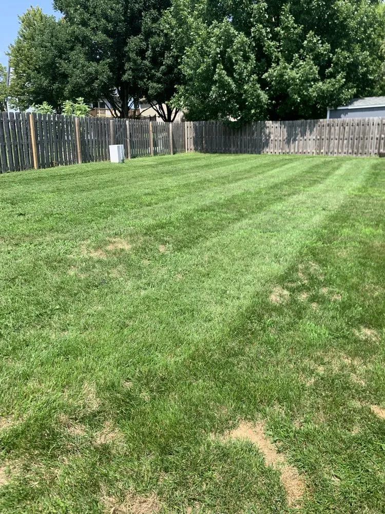 Local outdoor landscaping experts serving Omaha, NE - Hill Property Management