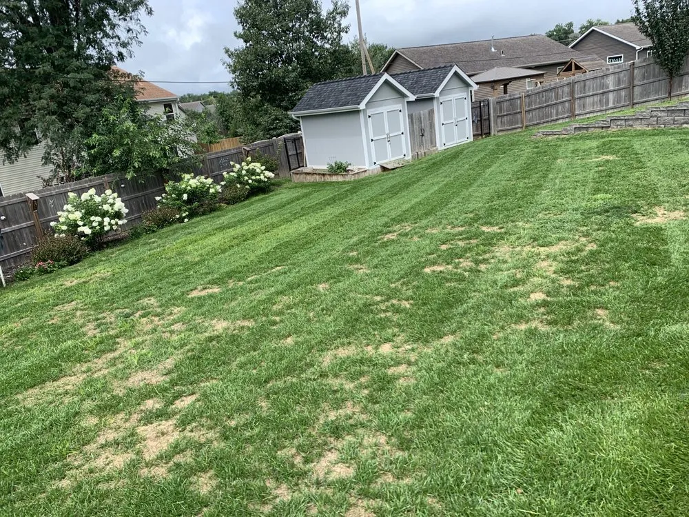 Trusted yard maintenance for beautiful yards in Omaha, NE by Hill Property Management