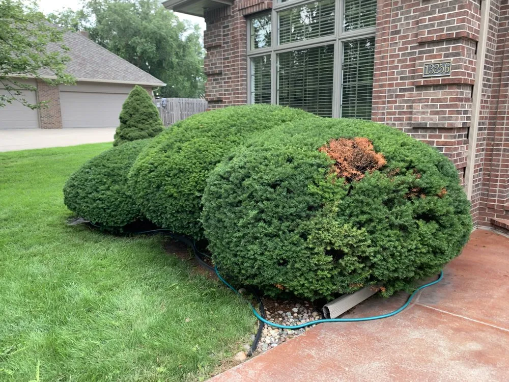 Affordable yard maintenance near you in Omaha, NE by Hill Property Management