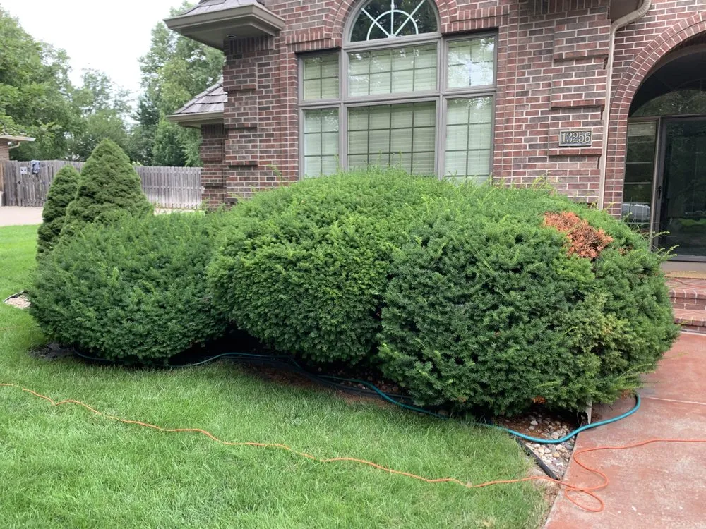 Professional lawn mowing service in Omaha, NE by Hill Property Management