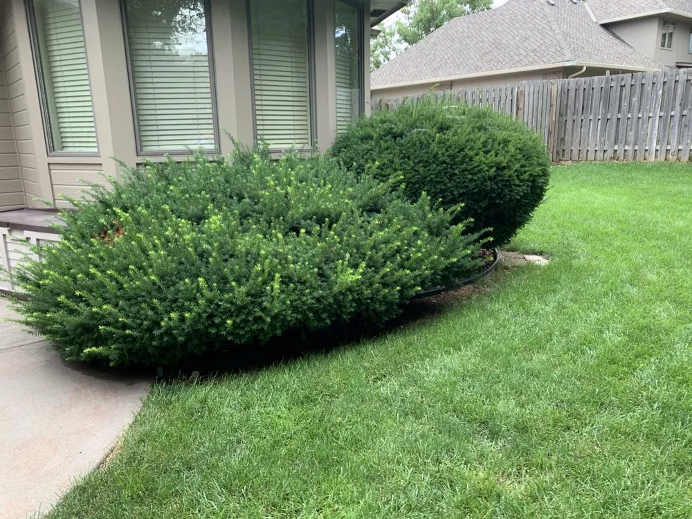 Reliable landscape design in Omaha, NE - Hill Property Management