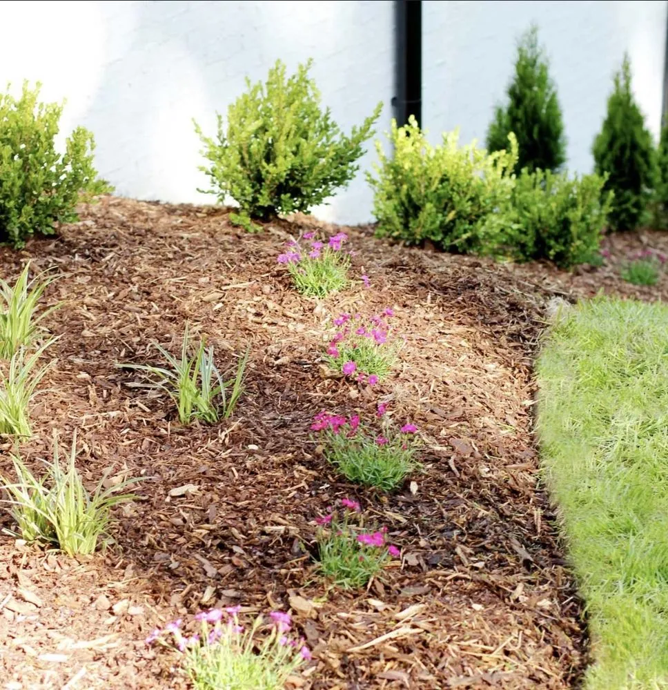 Top-rated garden landscaping for year-round maintenance across Ankeny, IA - Hill Property Services