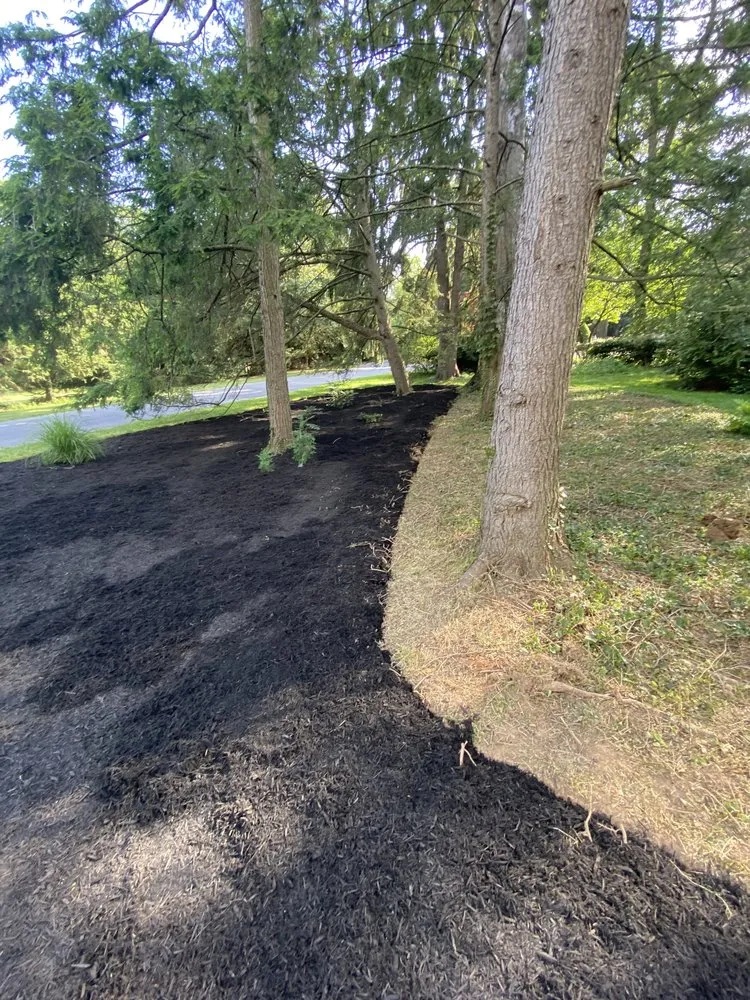 Reliable yard cleanup service experts serving Hamburg, PA - Hill Side Landscaping Chad Grim