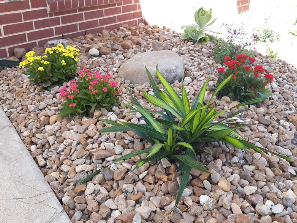 Reliable garden landscaping in Clear Lake, TX by Hill Tree Landscape
