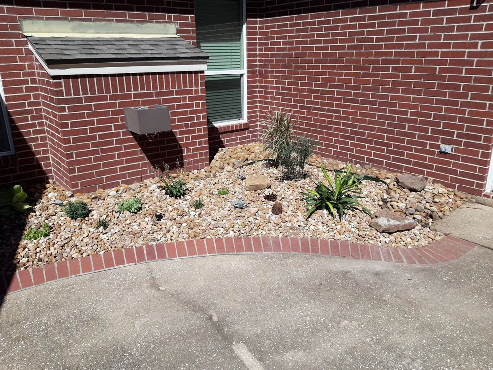 Top-rated lawn care service in Clear Lake, TX by Hill Tree Landscape