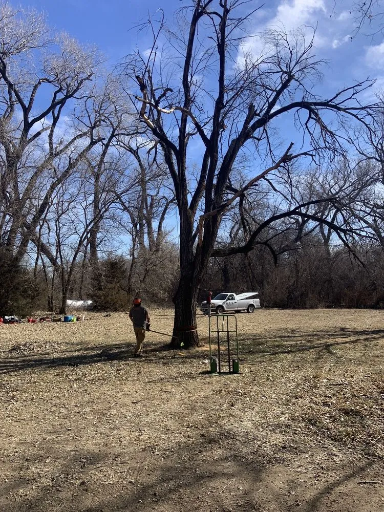 Top-rated lawn mowing service in Mulvane, KS by Hill Tree Service