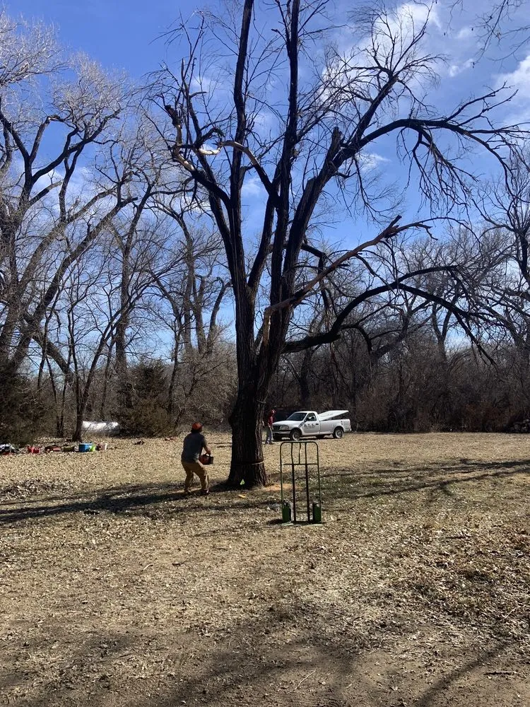 Custom lawn care service for residential properties across Mulvane, KS - Hill Tree Service