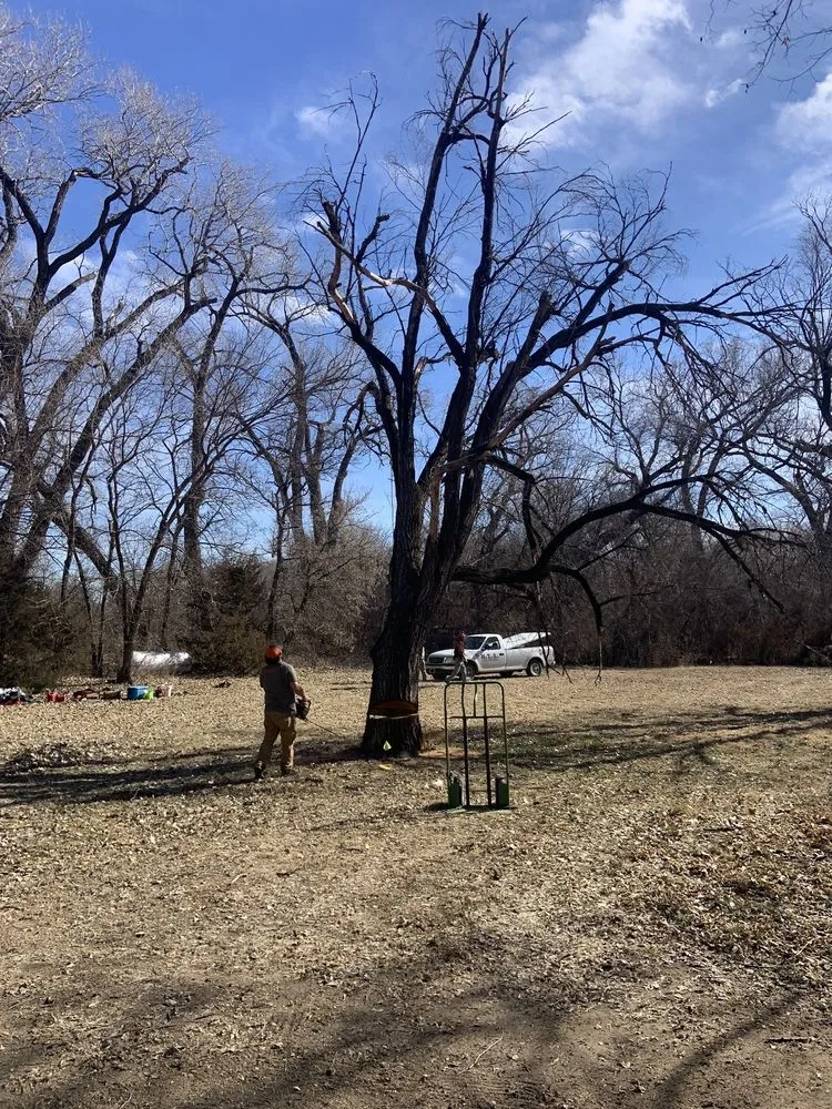 Reliable yard cleanup service in Mulvane, KS by Hill Tree Service