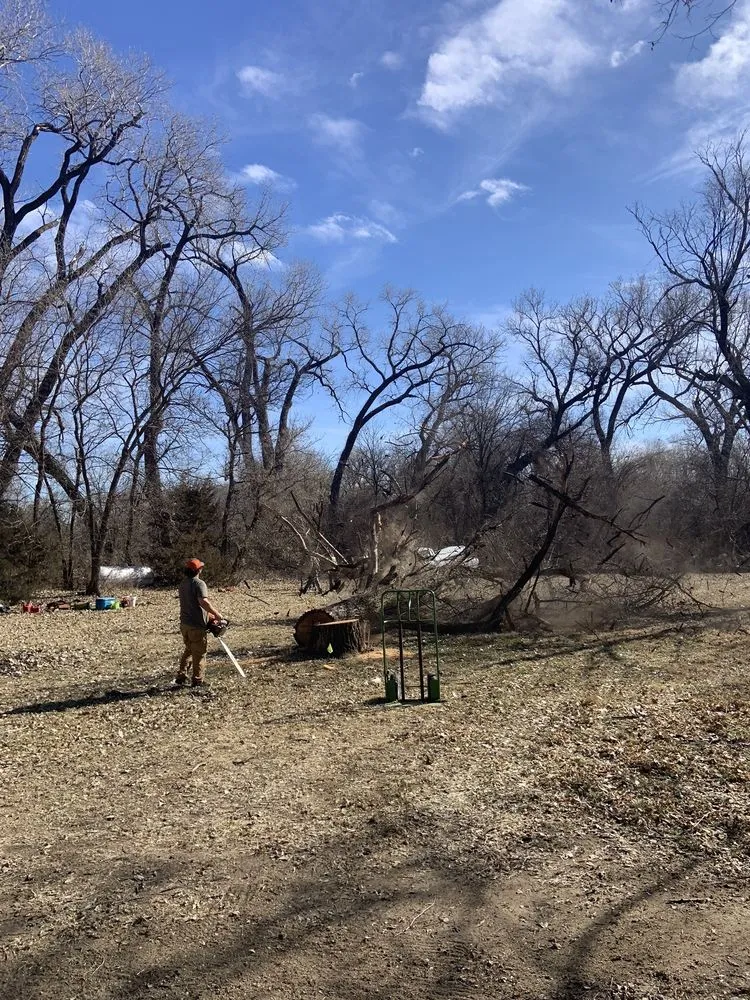 Affordable yard maintenance in Mulvane, KS by Hill Tree Service