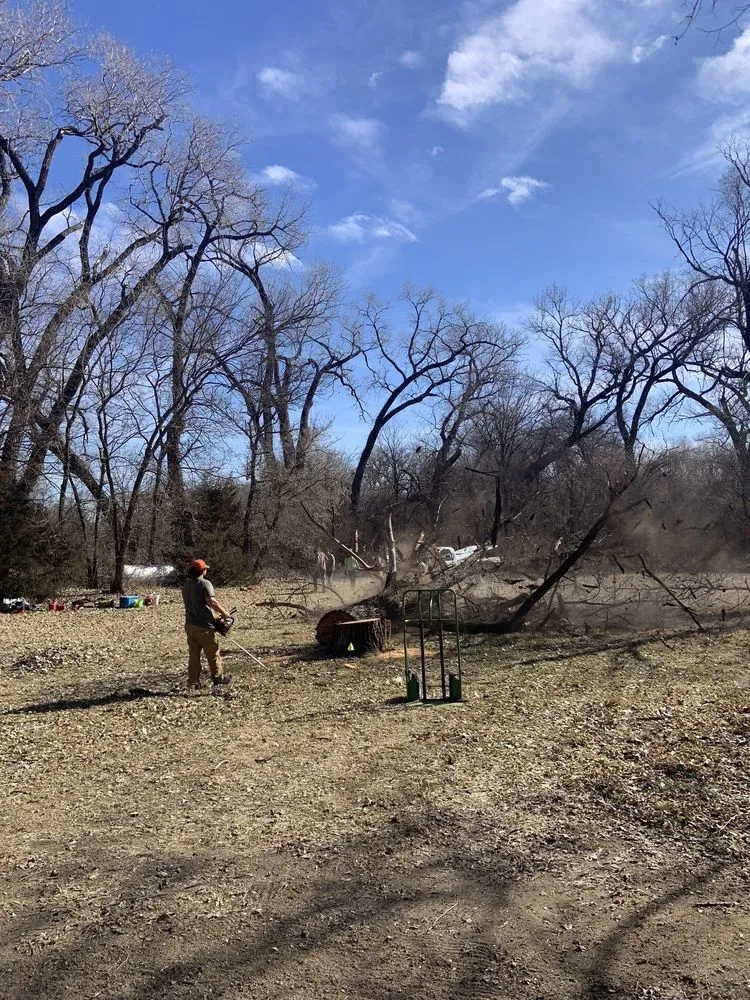 Expert landscape installation experts serving Mulvane, KS - Hill Tree Service