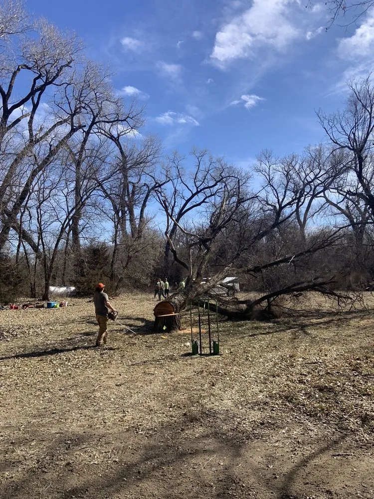 Affordable garden landscaping in Mulvane, KS by Hill Tree Service