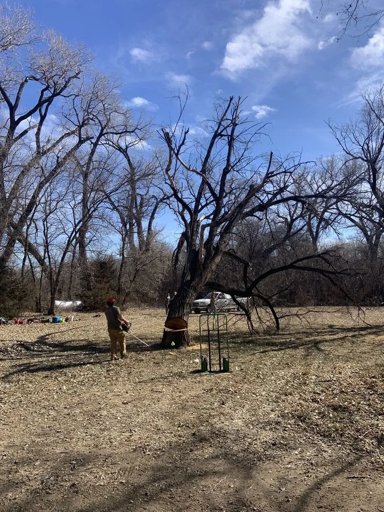 Local landscape design with custom design across Mulvane, KS - Hill Tree Service