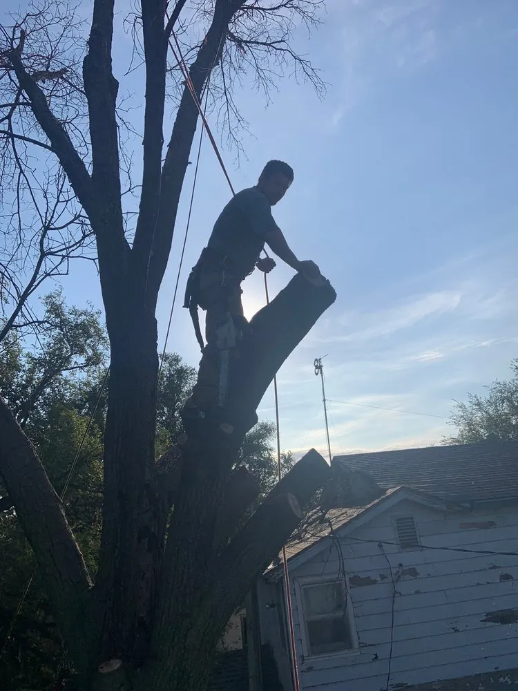 Affordable garden landscaping in Mulvane, KS by Hill Tree Service