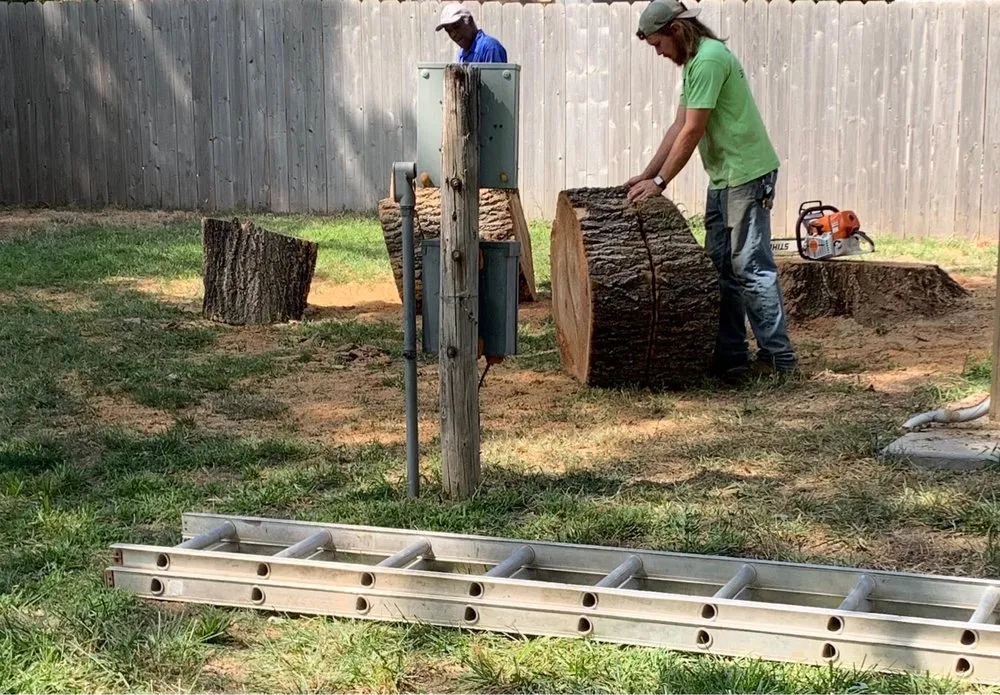 Expert lawn care service in Mulvane, KS - Hill Tree Service