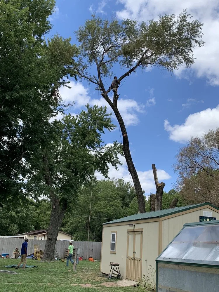 Reliable residential landscaping in Mulvane, KS - Hill Tree Service