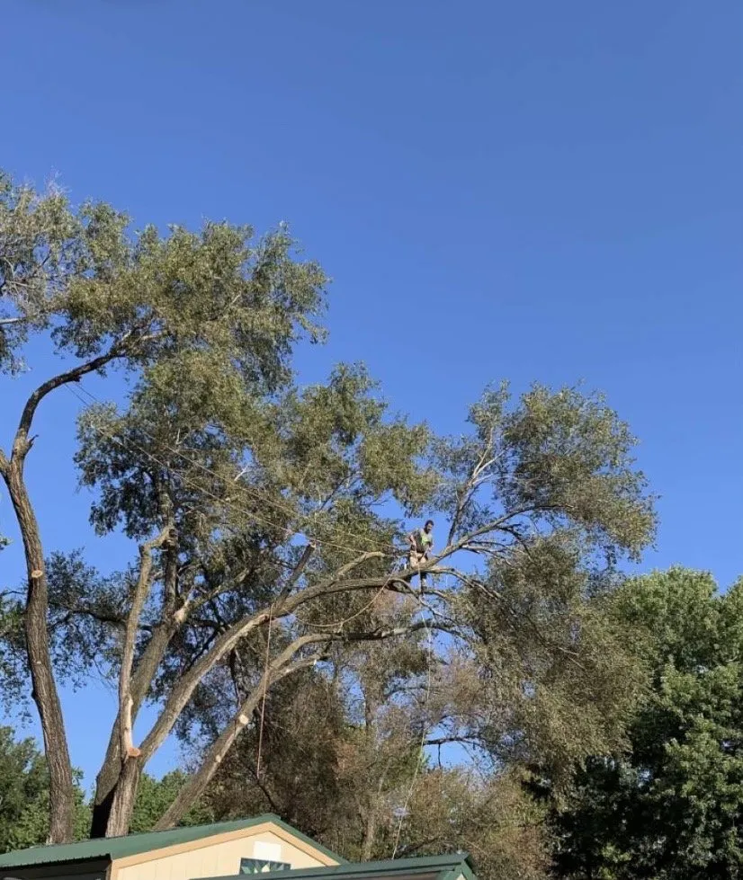 Custom garden landscaping in Mulvane, KS - Hill Tree Service