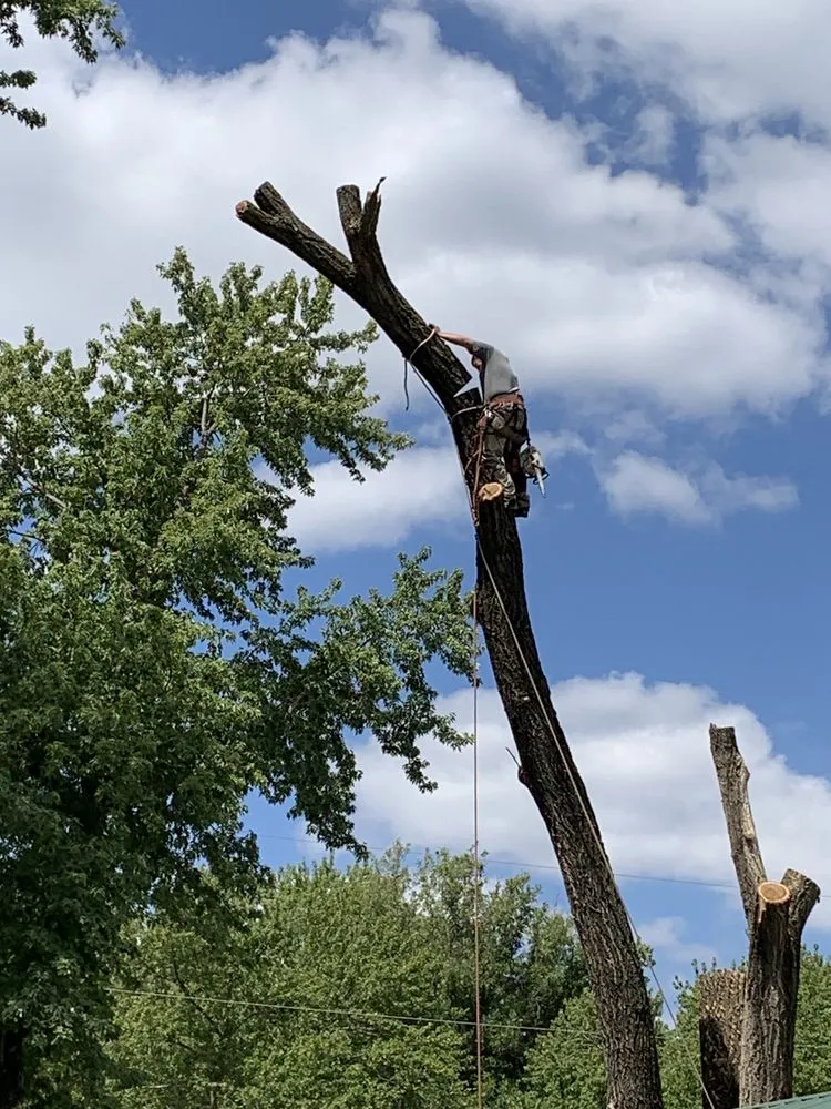 Affordable residential landscaping for beautiful yards in Mulvane, KS by Hill Tree Service