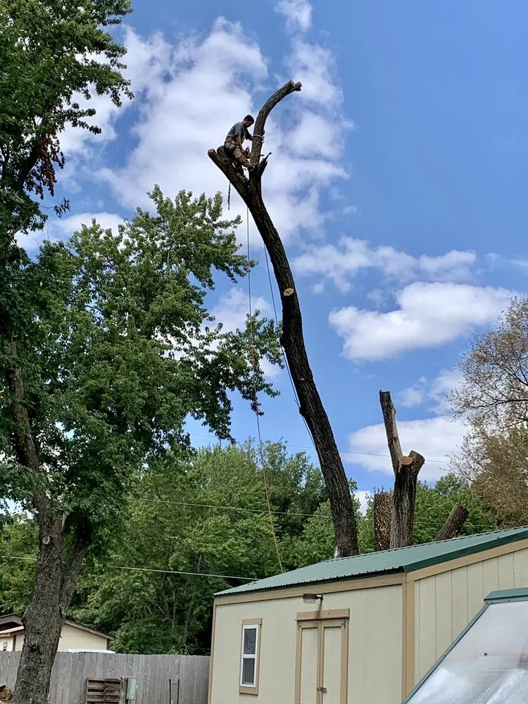 Custom yard maintenance experts serving Mulvane, KS - Hill Tree Service
