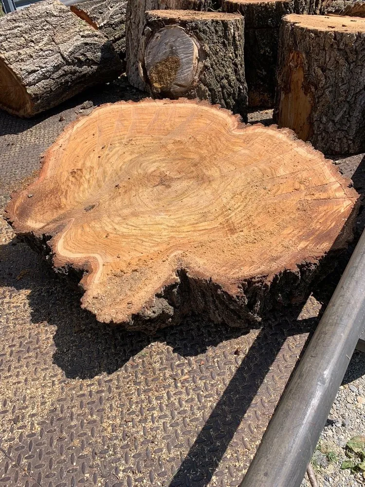 Top-rated residential landscaping for year-round maintenance across Mulvane, KS - Hill Tree Service