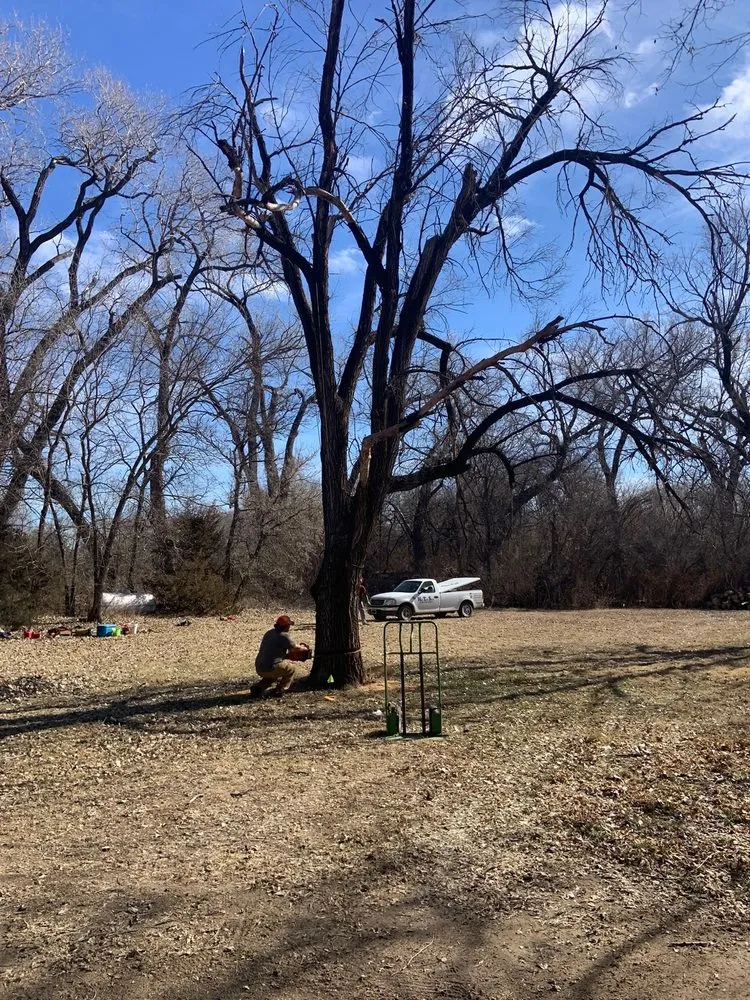 Reliable landscaping services for homes across Mulvane, KS - Hill Tree Service