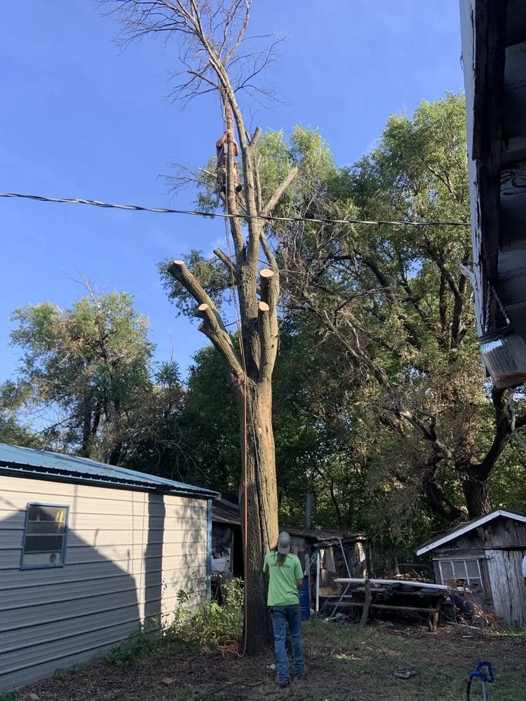 Affordable lawn care service for outdoor upgrades across Mulvane, KS - Hill Tree Service