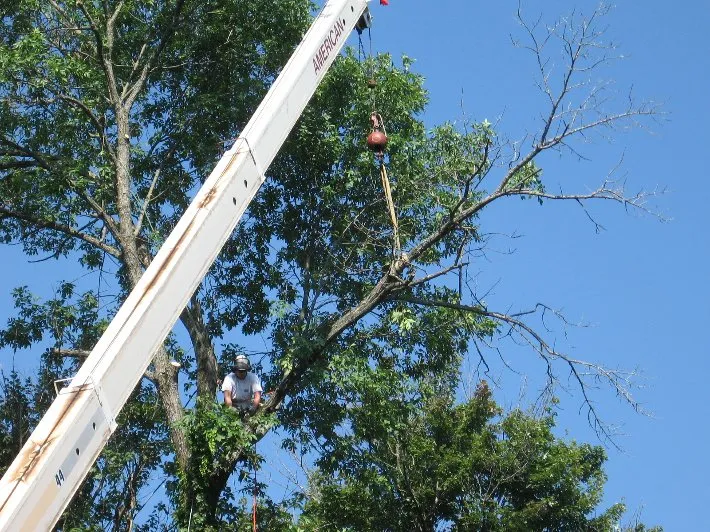 Top-rated outdoor landscaping experts serving Newburgh, NY - Hill Treekeepers