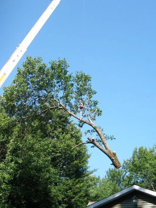 Reliable garden landscaping experts serving Newburgh, NY - Hill Treekeepers