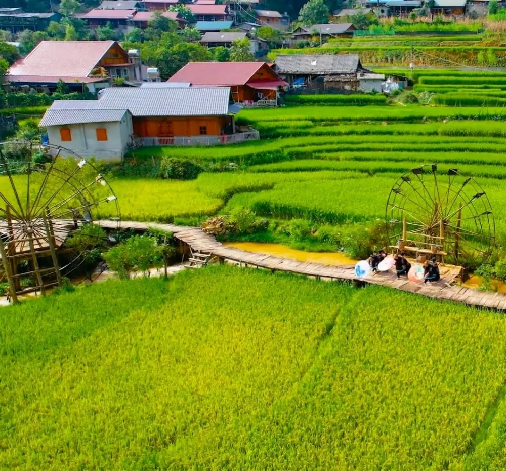 Affordable garden landscaping for outdoor upgrades in Charlotte, NC by Hill Tribe Logging